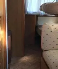 Camper CI International Camper CI International