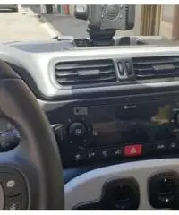 Panda cross