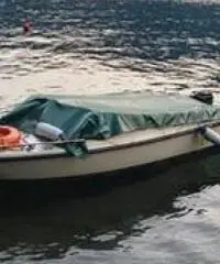 BARCA 4,5 Mt. 40 Cv