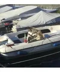 Barca mod. catamarano