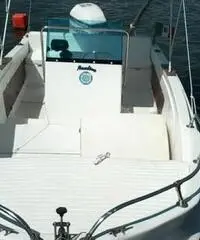 Barca mt 630