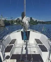 Barca a Vela Tango 7.30