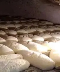 Fornaio esperto Fornaio esperto