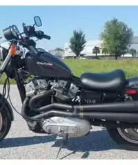 Harley-Davidson XR 1000 - 1983