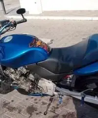 Honda Hornet - 1999 Honda Hornet - 1999