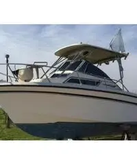 Grady white - 22 seafarer Grady white - 22 seafarer