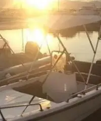 Barca 4,5m motore evinrude 521cc2t 35C e carrello