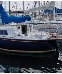 Barca vela