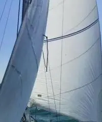 Barca vela