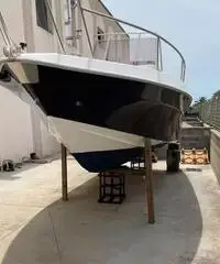 Barca a motore