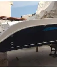 Barca a motore