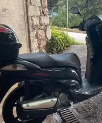 Honda sh 300 scooter