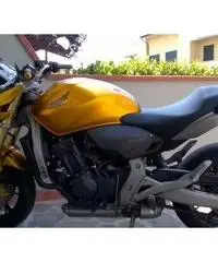 Honda Hornet Honda Hornet