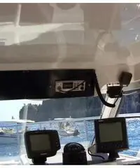 Rio 800 cabin fish
