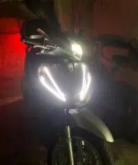 Sh 300