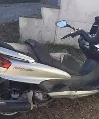 Majesty 250