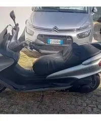 Majesty 250