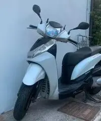 SH300 isport