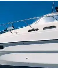 Sealine S34