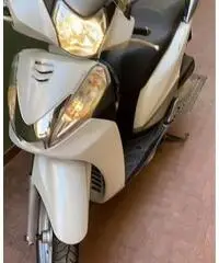 Sh 300