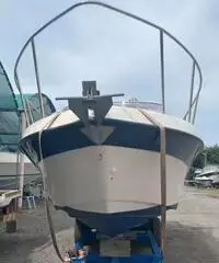 Barca a motore