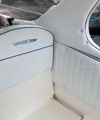 Barca a motore