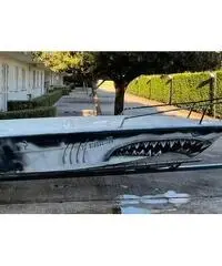 Barca in vetroresina