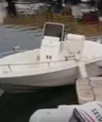 Barca 480