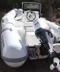 Marsea sp 90