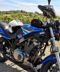 Suzuki GS 500 - 2005