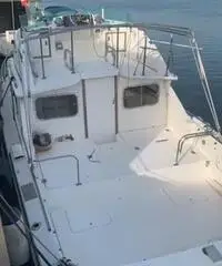 Bertram 28