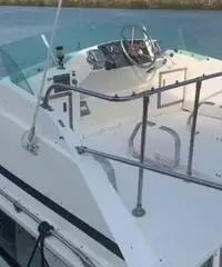 Bertram 28