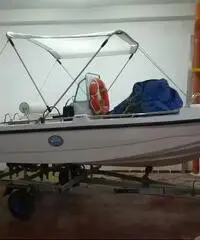 Barca a motore