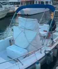 Boston whaler