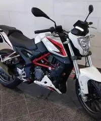 Benelli BN 251
