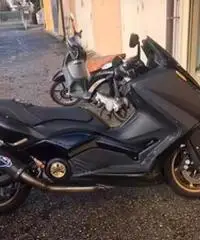 Scoter Scoter