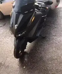 Scoter Scoter