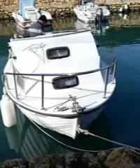 Barca a motore