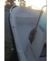 Barca a motore