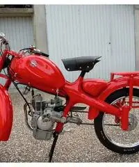 Motom 48