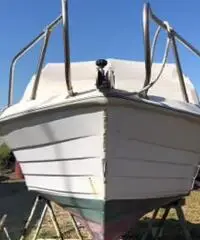 Pilotina gobbi 5.50