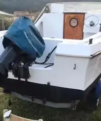 Pilotina gobbi 5.50