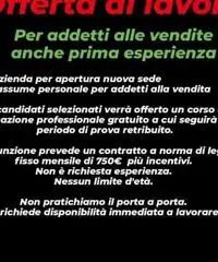 Offro lavoro Offro lavoro