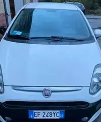 Fiat Punto Evo Punto Evo 1.3 Mjt 75 CV DPF 5 porte Fiat Punto Evo Punto Evo 1.3 Mjt 75 CV DPF 5 porte