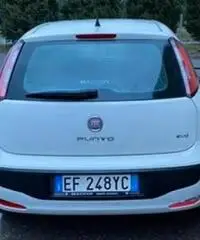 Fiat Punto Evo Punto Evo 1.3 Mjt 75 CV DPF 5 porte Fiat Punto Evo Punto Evo 1.3 Mjt 75 CV DPF 5 porte