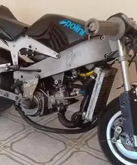 Minimoto Polini 910