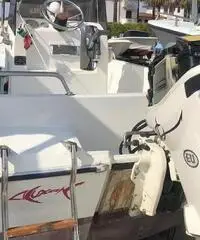 Motore fuoribordo 25 cv evenrude e-tec