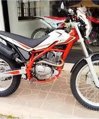 Beta Alp 200