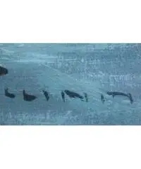 Dipinti 800 - Vercelli