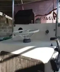 Albatros